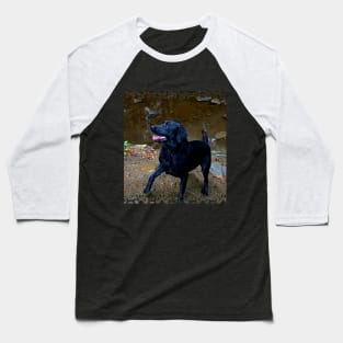 Black Labrador Baseball T-Shirt